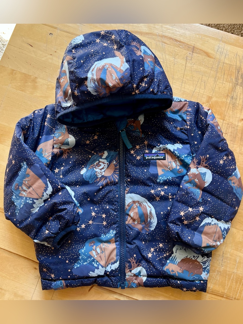 Patagonia 2T Reversible Down Sweater Hoody Stories by Starlight